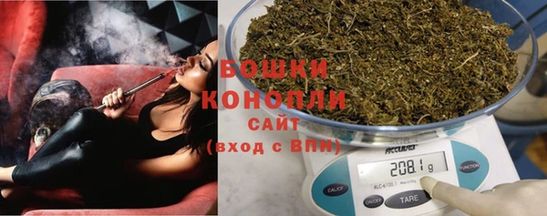 спайс Корсаков