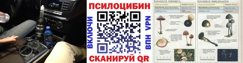 Галлюциногенные грибы мицелий  Купить закладки  Белорецк 